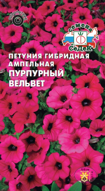 Петуния Пурпурный вельвет гибридная ампельная