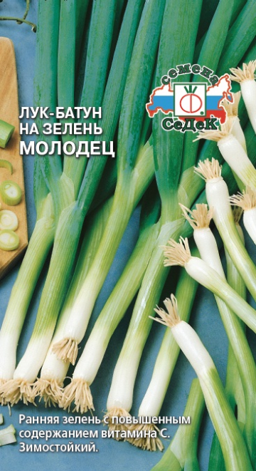 Лук Молодец на зелень (батун)