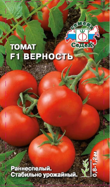 Томат Верность F1
