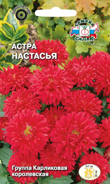 Астра Настасья