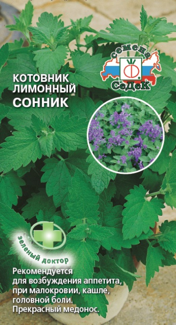 Котовник лимонный Сонник
