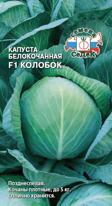Капуста Колобок F1