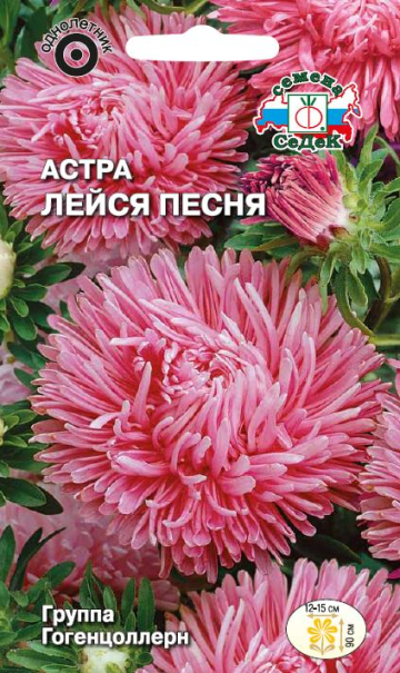Астра Лейся песня
