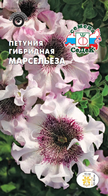 Петуния Марсельеза гибридная