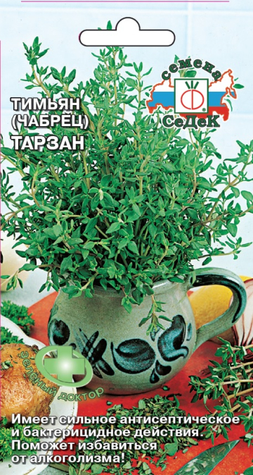 Тимьян (чабрец) Тарзан