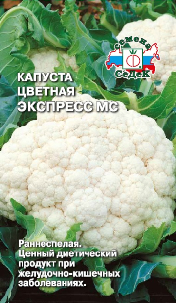 Капуста Экспресс МС
