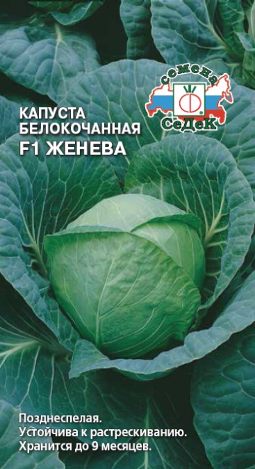 Капуста Женева F1