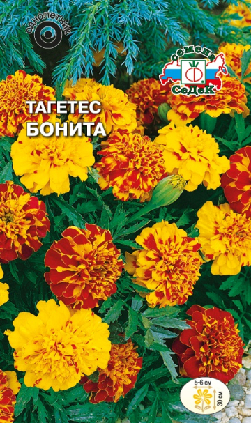 Тагетес Бонита низкорослый (смесь)
