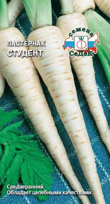 Пастернак Студент