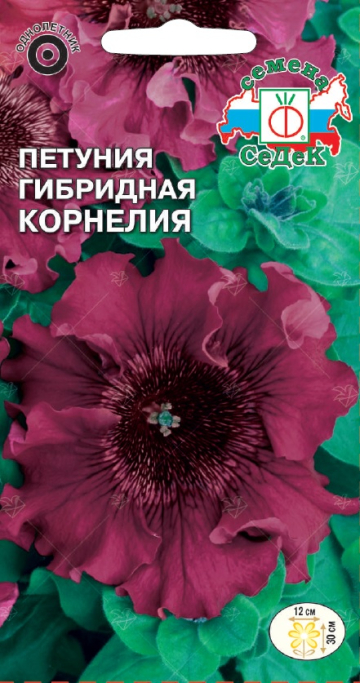 Петуния Корнелия превосходнейшая