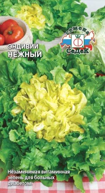 Салат Эндивий Нежный