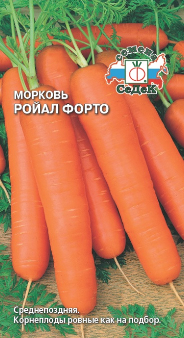 Морковь Ройал Форто