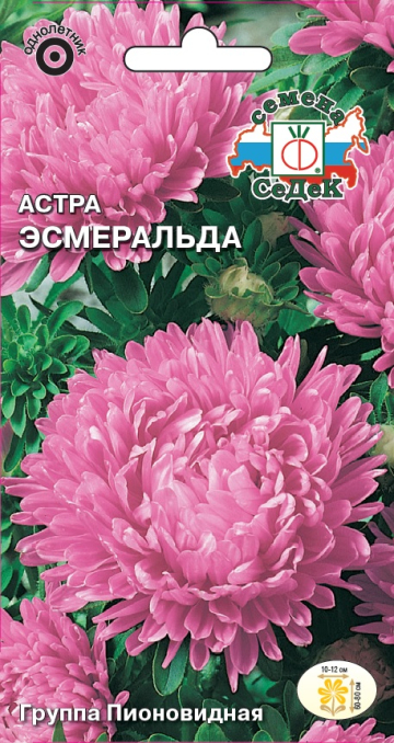 Астра Эсмеральда