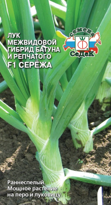 Лук Сережа F1