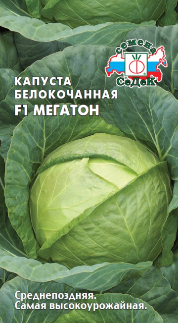 Капуста Мегатон F1