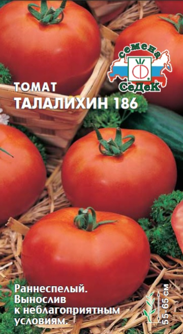 Томат Талалихин 186