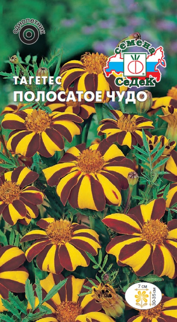 Тагетес Полосатое чудо (отклоненный, золотисто-коричневый)