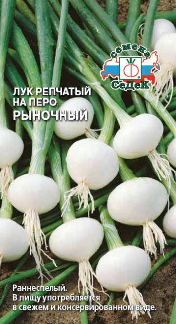 Лук Рыночный