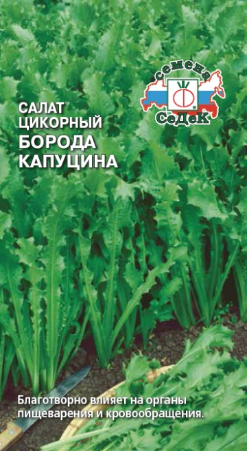 Салат цикорный Борода Капуцина