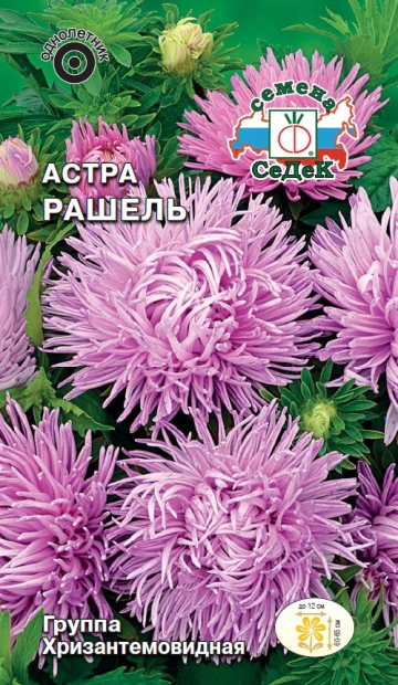 Астра Рашель