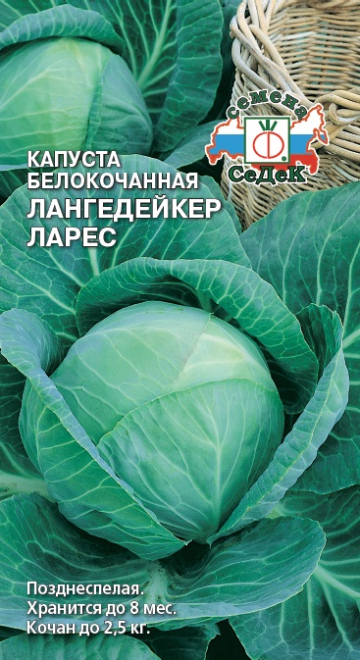 Капуста Лангедейкер Ларес