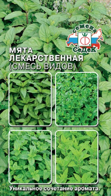 Мята Лекарственная (смесь видов)