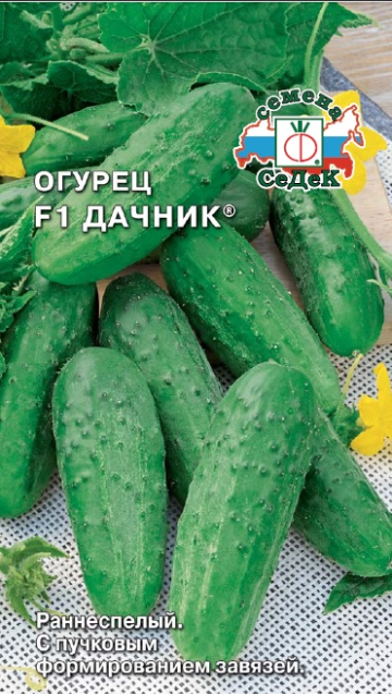 Огурец Дачник F1