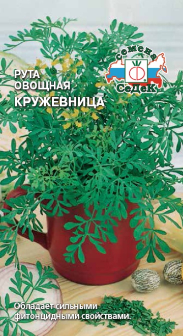 Рута овощная Кружевница