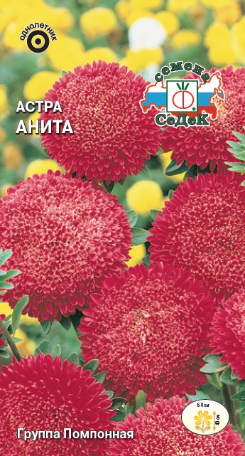 Астра Анита