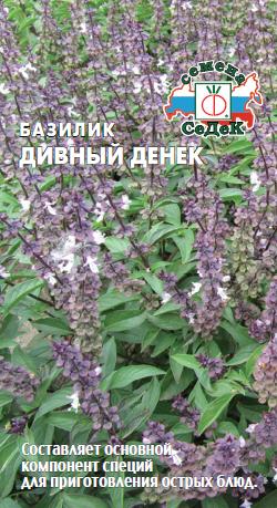 Базилик Дивный Денёк