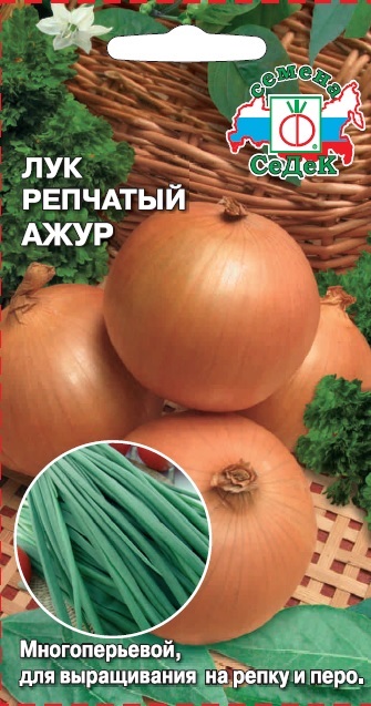 Лук Ажур (репчатый)