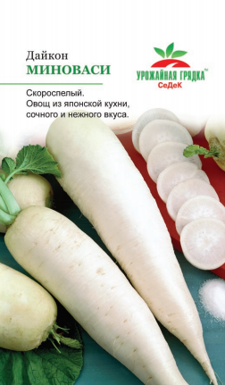 Дайкон Миноваси