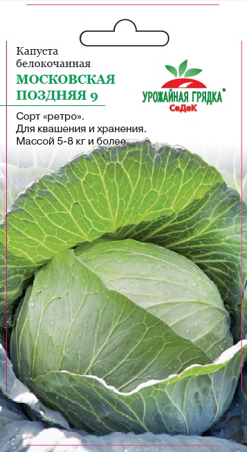 Капуста Московская поздняя 9 (белокочанная)