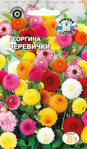 Георгина Черевички