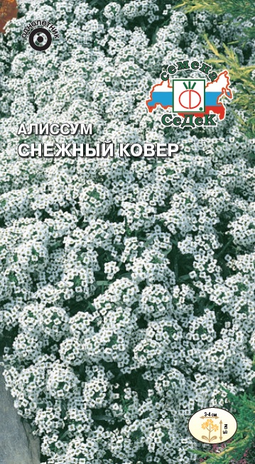 Алиссум Снежный ковер