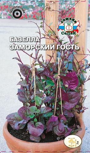 Базелла Заморский гость
