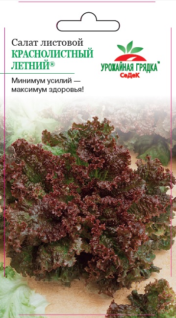 Салат Краснолистный летний