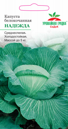 Капуста Надежда