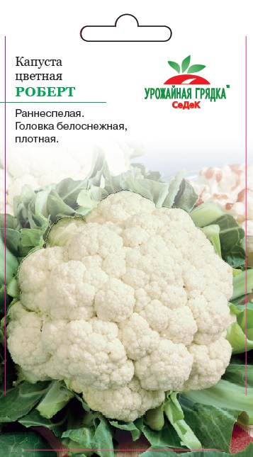 Капуста Роберт