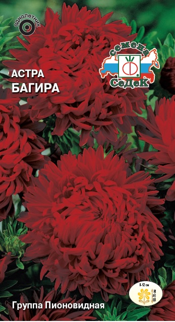 Астра Багира