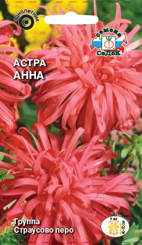 Астра Анна