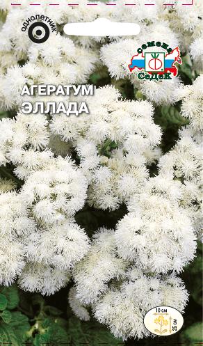 Агератум Эллада