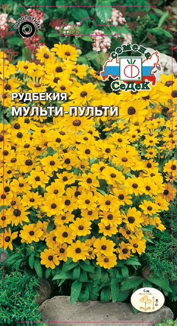 Рудбекия Мульти-пульти