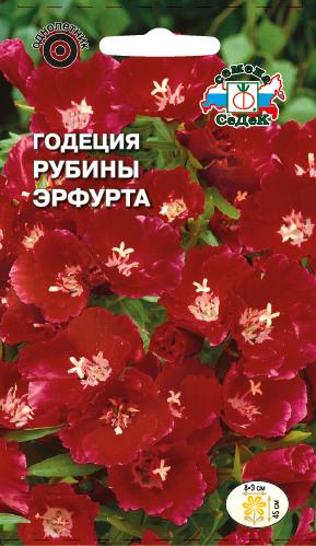 Годеция Рубины Эрфурта