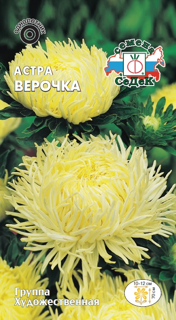 Астра Верочка