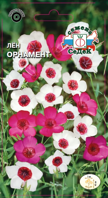 Лён Орнамент (крупноцветковый, смесь цветов)