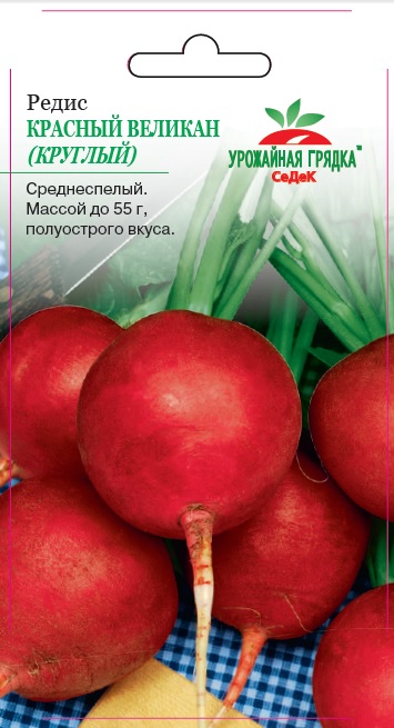 Редис Красный великан