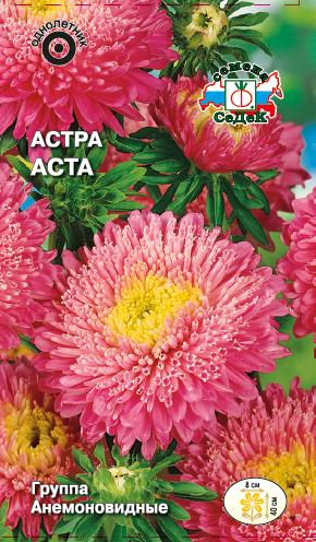 Астра Аста