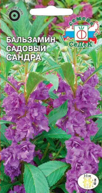 Бальзамин Сандра