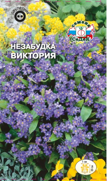 Незабудка Виктория